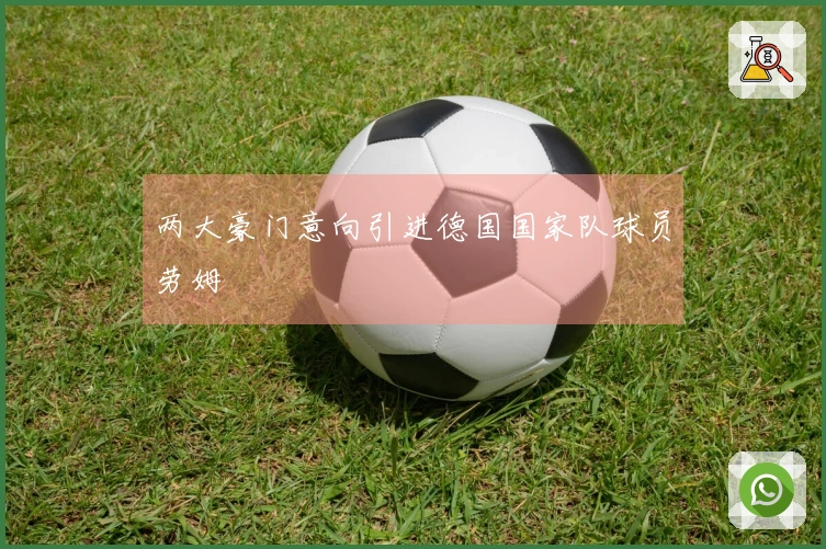 两大豪门意向引进德国国家队球员劳姆